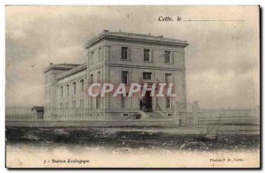 This Sete Old Postcard Zoo Zoological Station