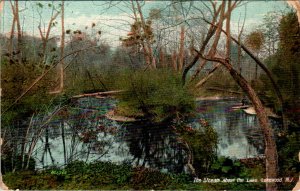 The Stream Above the Lake,Lakewood,NJ BIN