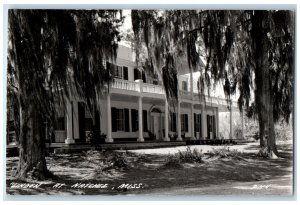 Natchez Mississippi MS RPPC Photo Postcard Linden Building Two Trees View c1940s