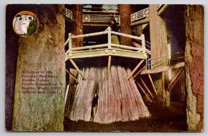 Alaska Yukon Pacific Exposition Interior Forestry Building 1909 Postcard E26