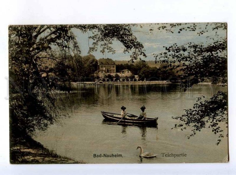 213958 GERMANY BAD-NAUHEIM teichpartie SWAN Vintage postcard