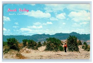 Vintage Devils Cornfield, Death Valley, California. Postcard P96E