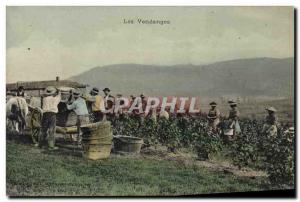 Old Postcard Folklore Wine Harvest