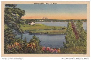 Massachusetts Cape Cod Marsh Scene 1938