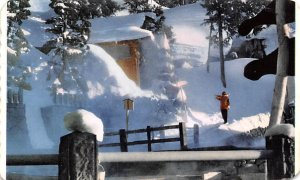 Winter Snow Scene Japan Unused 