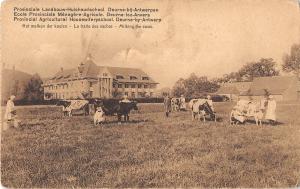 US2380 Belgium Provincial Agricultural Housewiferyschool Deurne by Anwerp anvers