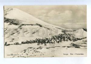 206583 NORWAY Ren i Finmarken DEER herd Vintage photo postcard