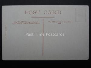 Devon CHUDLEIGH ROCK Harvest Time Gathering Hay in Field c1905 by Valentines