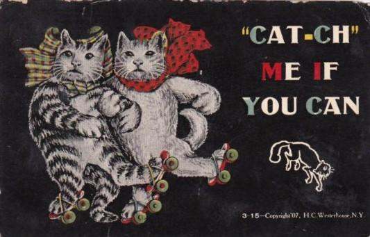 Humour Cats On Roller Skates Cat Ch Me If You Can Hippostcard