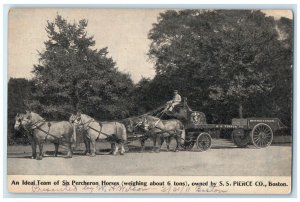 Ideal Team Six Percheron Horses SS Pierce Co. Boston Massachusetts MA Postcard