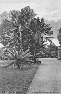 RIO de JANEIRO BRAZIL~JARDIN da PRACA da REPUBLICA RIBEIRO #214 PHOTO POSTCARD