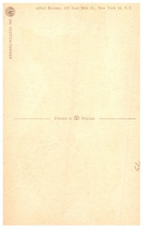 Dog , Scotch Terrier