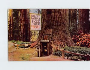 Postcard World Famous Tree House, Tree House Park, Piercy, California