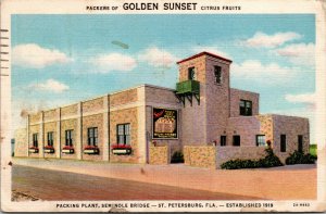 Vtg Golden Sunset Citrus Fruit Packing Plant St Petersburg Florida FL Postcard