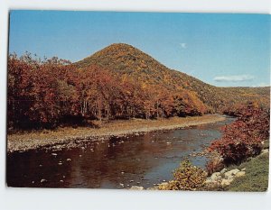 Postcard Katy Jane Mt., Pennsylvania