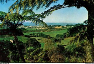 New Zealand Auckland View From Waitakere Scenic Drive