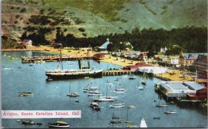 Avalon Santa Catalina Island California Postcard C095