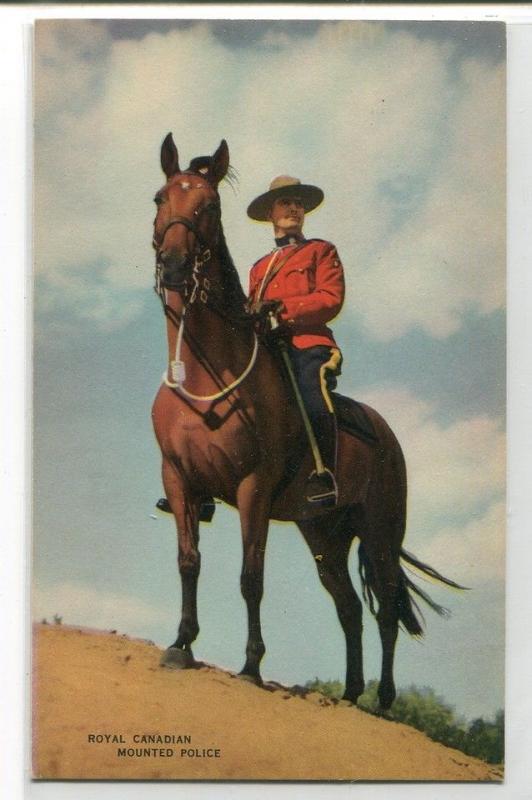 Royal Canadian Mounted Police Mountie Horse RMCP Canada postcard 