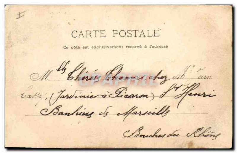 Old Postcard The Tree Mountains Moors A cork oak forest