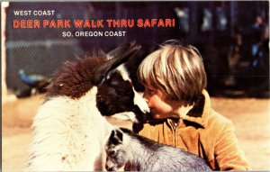 West Coast Deer Park Walk Thru Safari, OR Vintage Postcard P78