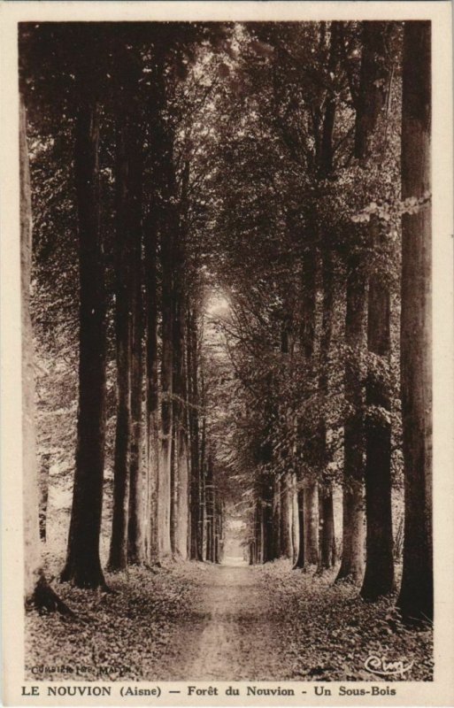 CPA Le Nouvion-en-Thierache - Foret de Nouvion - Un Sous-Bois (1061958)