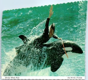 Postcard - Diving Whale Ride, Sea World - Orlando, Florida 