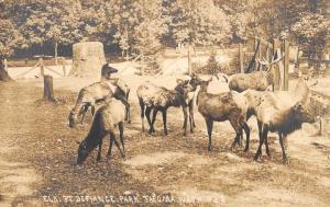 Tacoma Washington Elk Park Real Photo Antique Postcard K63315