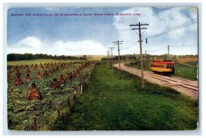 1910 Among The Cornfields on Minneapolis-Lake Minnetonka Electric Line Postcard