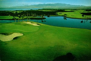 Hawaii Big Island Kohala Coast The Mauna Lani Resort Golf Course Number 3 Green