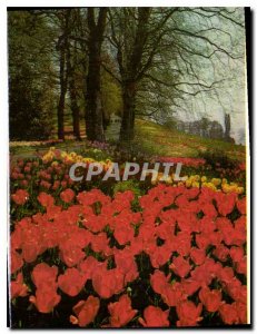 Modern Postcard Insel Mainau im Bodensee Reizvolle part Fruhlingsstrabe an de...