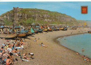 Sussex Postcard - Fishing Fleet - Hastings - Ref TZ5492