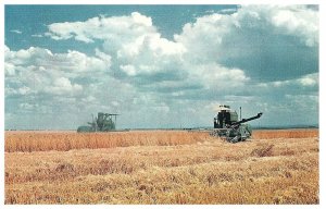 Vintage Washington and Oregon Golden Harvest Farming Postcard in Color