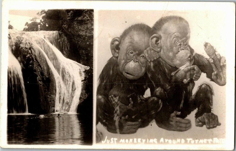 RPPC Just Monkeying Around at Turner Falls OK c1941 Vintage Postcard K22