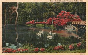 Vintage Postcard 1930's Scene Bellingrath Gardens Mobile AL Isle-Aux-Oles River