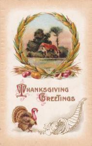 Thanksgiving Greetings - Turkey, Cornucopia, Rural Scene - DB