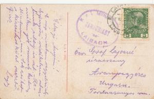 Slovenia Ljubljana Laibach panorama postcard military post censored 1915