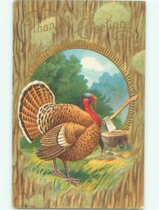 Pre-Linen Thanksgiving TURKEY BIRD LOOKING AT THE AXE AB4314