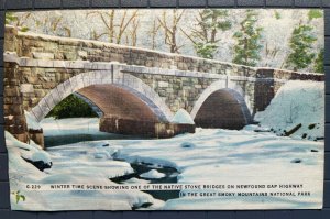 Vintage Postcard 1930-45 Winter Newfound Gap Hwy Great Smokey Mountain Nat Park