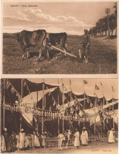 Egypt Arab Fete Farm Labourers 2x Antique Rare Postcard