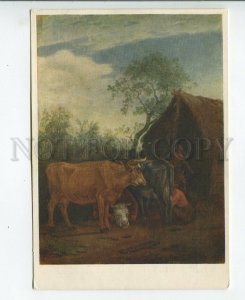 457256 USSR 1956 year Potter milking a cow old postcard