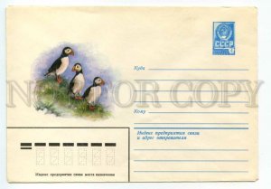477466 USSR 1981 year Isakov puffin birds postal COVER