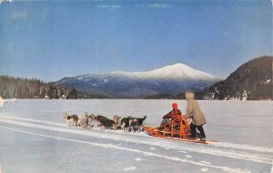 ALASKA DOG TEAM PREXY STAMP POSTCARD (c. 1950s)
