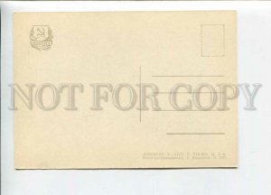 3109025 DUCKS on Lake Old PROPAGANDA Soviet PC