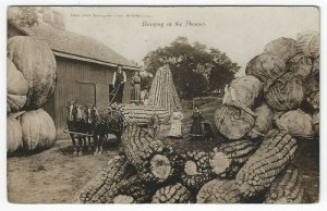RPPC, Bringing in The Sheaves, 1908