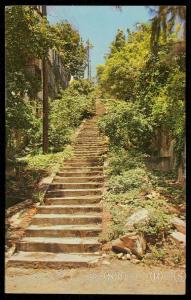 99 Steps - St. Thomas