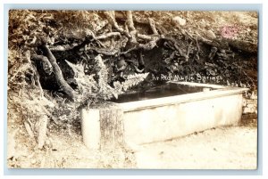 c1910's At Red Maple Springs Ashby's Indiana IN RPPC Photo Antique Postcard