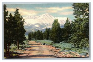 Vintage 1940's Postcard Mt. Elbert Sawatch Range Leadville Colorado