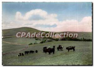 Modern Postcard Markstein Htes Vosges