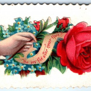 c1890s Anna Nauesner Calling Hand Trade Card Embossed Die Cut Hidden Name C3