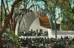 1920s Big Band Concert Williams Park St. Petersburg Florida Vintage Postcard P79